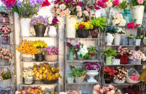 https://www.freepik.com/premium-photo/flower-shop-bouquets-shelf-florist-business_9762187.htm#fromView=search&page=1&position=8&uuid=b917548b-a561-49f8-a0e7-16e60a0525c8